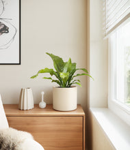 Load image into Gallery viewer, Cream