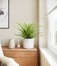 Load image into Gallery viewer, White stand:all