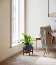 Load image into Gallery viewer, Deep Navy stand:walnut