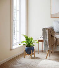 Load image into Gallery viewer, Deep Navy stand:bamboo