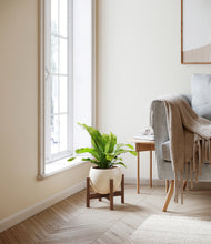 Load image into Gallery viewer, Shiny EggWhite stand:walnut