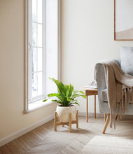 Load image into Gallery viewer, Shiny EggWhite stand:bamboo