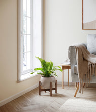 Load image into Gallery viewer, Winter Clouds stand:walnut