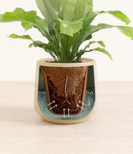 Load image into Gallery viewer, Almond Green stand:all
