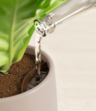 Load image into Gallery viewer, Eternal Gray stand:all