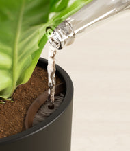 Load image into Gallery viewer, Black stand:all