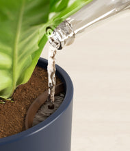 Load image into Gallery viewer, Deep Navy stand:all