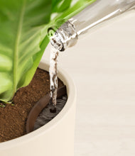 Load image into Gallery viewer, Cream stand:all