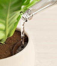 Load image into Gallery viewer, Shiny EggWhite stand:all