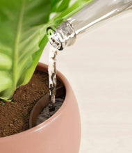 Load image into Gallery viewer, Calm Rose stand:all