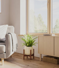 Load image into Gallery viewer, Almond Green stand:walnut