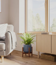 Load image into Gallery viewer, Deep Navy stand:walnut