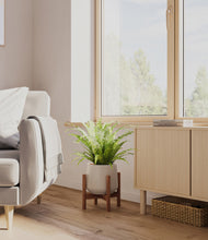 Load image into Gallery viewer, Eternal Gray stand:walnut