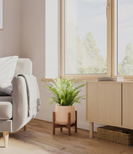 Load image into Gallery viewer, Gentle Pink stand:walnut