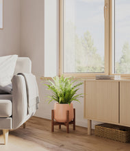 Load image into Gallery viewer, Calm Rose stand:walnut