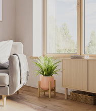 Load image into Gallery viewer, Calm Rose stand:bamboo