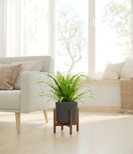 Load image into Gallery viewer, Dark Olive stand:walnut