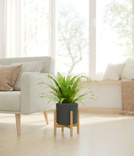 Load image into Gallery viewer, Dark Olive stand:bamboo