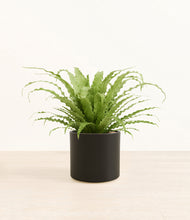 Load image into Gallery viewer, Black*****Profile