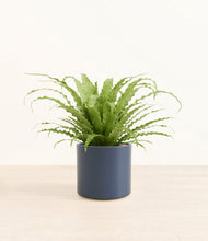 Load image into Gallery viewer, Deep Navy*****Profile