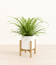 Load image into Gallery viewer, White stand:bamboo