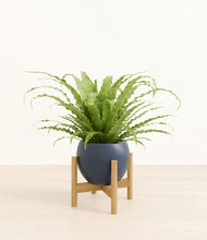 Load image into Gallery viewer, Deep Navy stand:bamboo