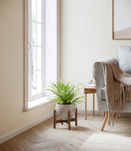 Load image into Gallery viewer, Winter Clouds stand:walnut