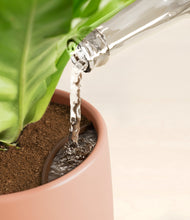 Load image into Gallery viewer, Evening Sky stand:all