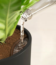 Load image into Gallery viewer, Charcoal stand:all