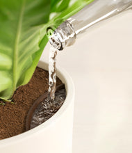 Load image into Gallery viewer, Sandy stand:all