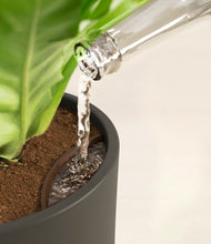 Load image into Gallery viewer, Woodland stand:all