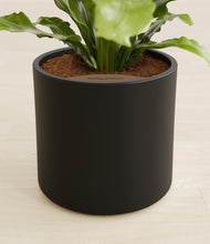 Load image into Gallery viewer, Black stand:all