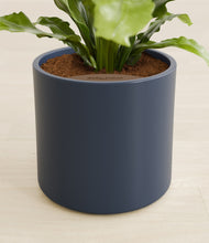 Load image into Gallery viewer, Deep Navy stand:all