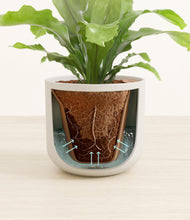 Load image into Gallery viewer, Natural Bamboo