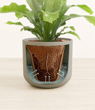 Load image into Gallery viewer, Sage Green