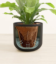 Load image into Gallery viewer, Stone Black