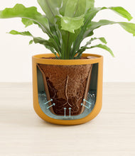 Load image into Gallery viewer, Sunset Orange