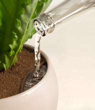 Load image into Gallery viewer, Sandy stand:all