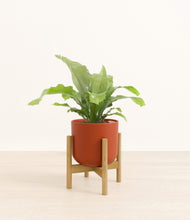 Load image into Gallery viewer, Earth Red stand:bamboo