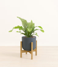 Load image into Gallery viewer, Iron Gray stand:bamboo