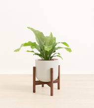 Load image into Gallery viewer, Natural Bamboo stand:walnut