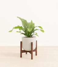 Load image into Gallery viewer, Natural Bamboo stand:walnut