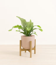 Load image into Gallery viewer, Sandy Pink stand:bamboo