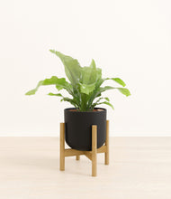 Load image into Gallery viewer, Stone Black stand:bamboo