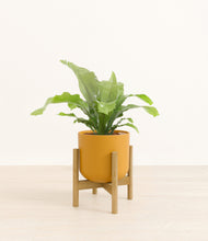 Load image into Gallery viewer, Sunset Orange stand:bamboo