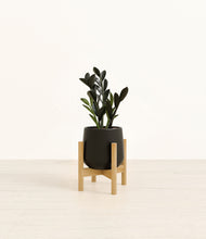 Load image into Gallery viewer, Black stand:bamboo