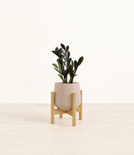 Load image into Gallery viewer, Eternal Gray stand:bamboo