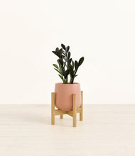 Load image into Gallery viewer, Calm Rose stand:bamboo