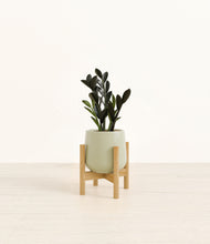 Load image into Gallery viewer, Turquoise stand:bamboo