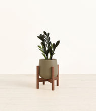 Load image into Gallery viewer, Olive stand:walnut